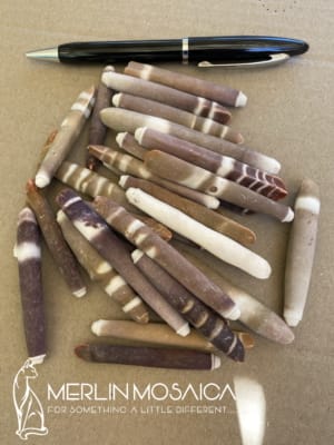 Sea Urchin Spines - Large WM