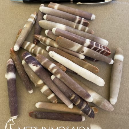 Sea Urchin Spines - Large WM