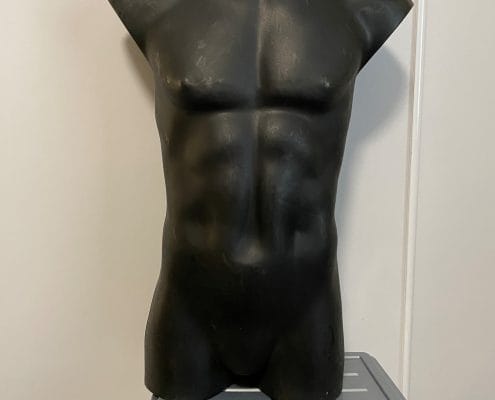 Torso