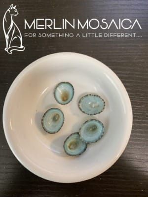 Limpet shells