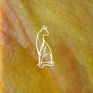 MD667SK Mimosa Clear-White-Lemon-Orange