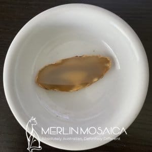 Agate - Brown 02_resize.jpg WM