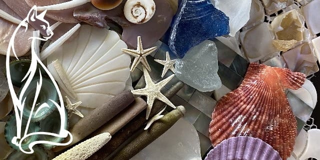 Natural Collection - Base.jpg WM