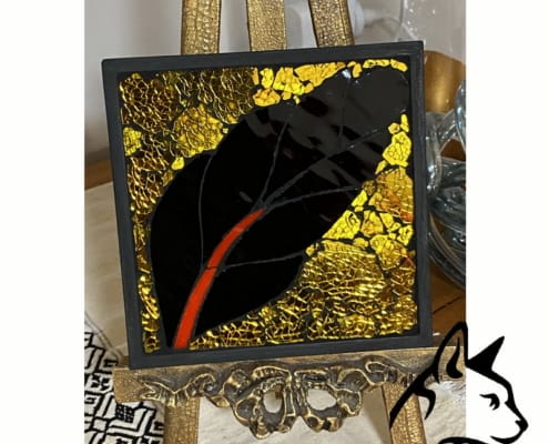 Black feather presentation mode WM