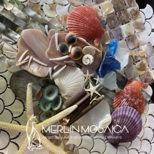 Shells & Spines