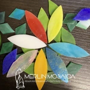 Flowers, Leaves and Petals