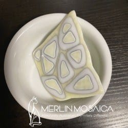 Biscotti 9 WM