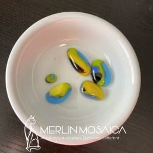 Spring Blooms WM