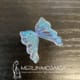 Butterfly Wings 004