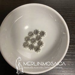 Silver screws