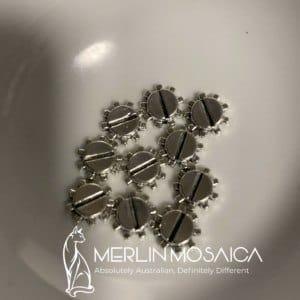 Silver screws closeup
