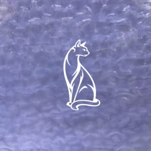 Em4218 - Salvation Jane