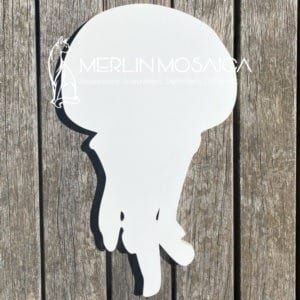 Jellyfish (2)