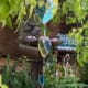 Suncatcher 2