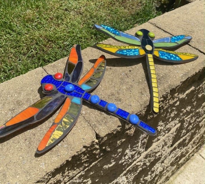 Marian Johnson - Dragonflies