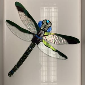 Ali Howson - Dragonfly