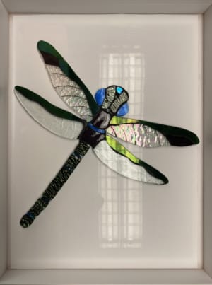 Ali Howson - Dragonfly