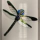 Ali Howson - Dragonfly