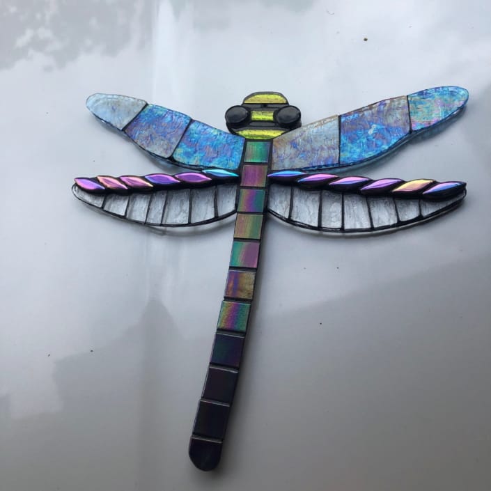 Lyn McKenzie - Dragonfly