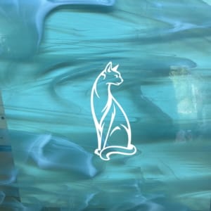 Spectrum/Oceanside Transparent