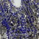 Blue 3.5mm Brass