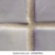 Grout Line Width