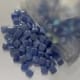 wahlenbergia-8mm-sq-scaled