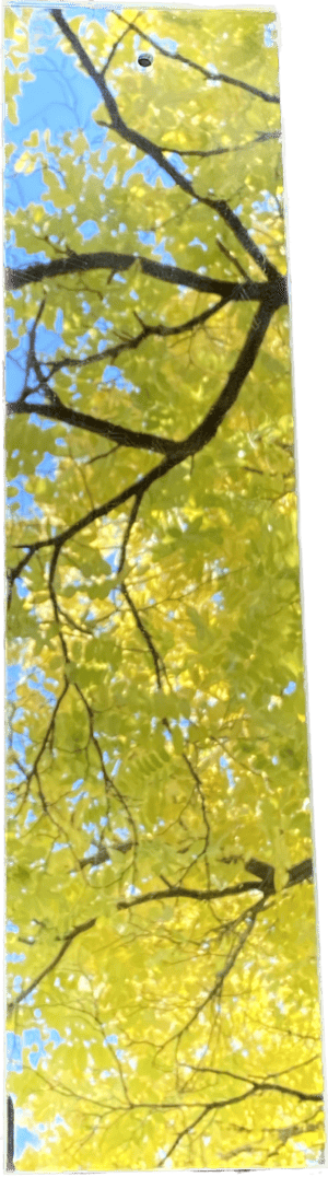 mirror panel