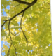 mirror panel