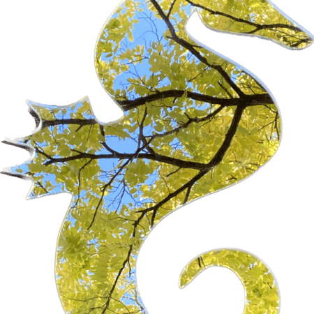 mirror seahorse
