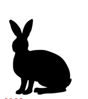 Rabbit,And,Hare,Silhouettes,On,White,Background