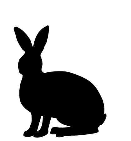 Rabbit,And,Hare,Silhouettes,On,White,Background