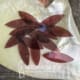 BURGUNDY LARGE PETALS