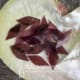 BURGUNDY SMALL PETALS
