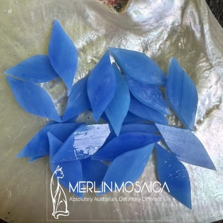 DAMPIERA SMALL PETALS 10