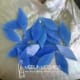 DAMPIERA SMALL PETALS 10