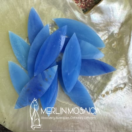 DAMPIERA LARGE PETALS