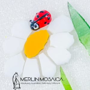 Ladybird 1 (2)