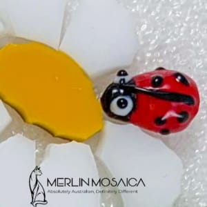 Ladybird 3 (2)
