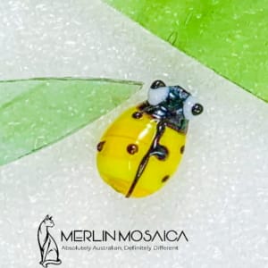 Ladybird 4 (2)