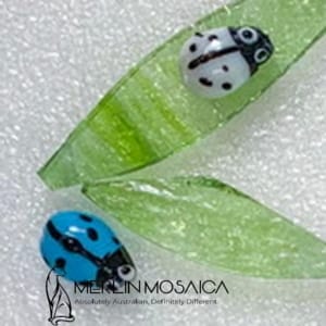 Ladybird 5 (2)