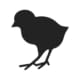 Silhouette,Of,Chicken,Isolated,On,White.,Vector,Illustration,Of,Little