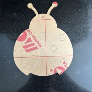 MM820 Ladybird