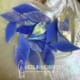 SAPPHIRE SMALL PETALS