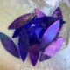 TREMONT LARGE PETALS 15