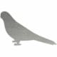 Loriinae,Parrot,In,Cartoon,Style,On,White,Background.,Vector,Hand