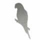 MM1030 Parrot on a branch TS