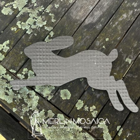 MM220 - Hare - Running TS