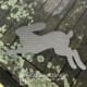 MM220 - Hare - Running TS