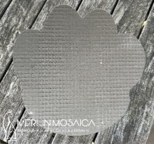 MM340 - Pawprint TS1
